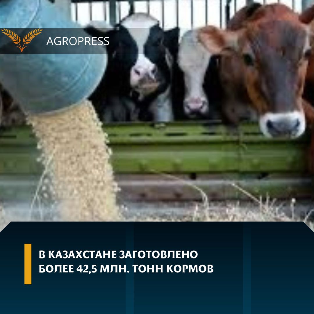 В Казахстане заготовлено более 42,5 млн. тонн кормов