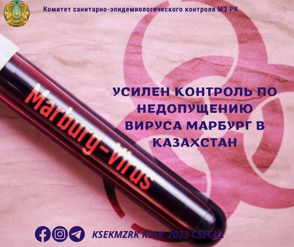 Усилен контроль по недопущению вируса Марбург в Казахстан