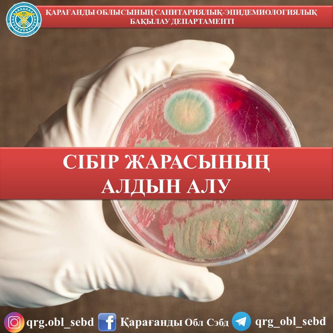 Пискалардың бір-бірін саусағындағы жеке фотосуреттері