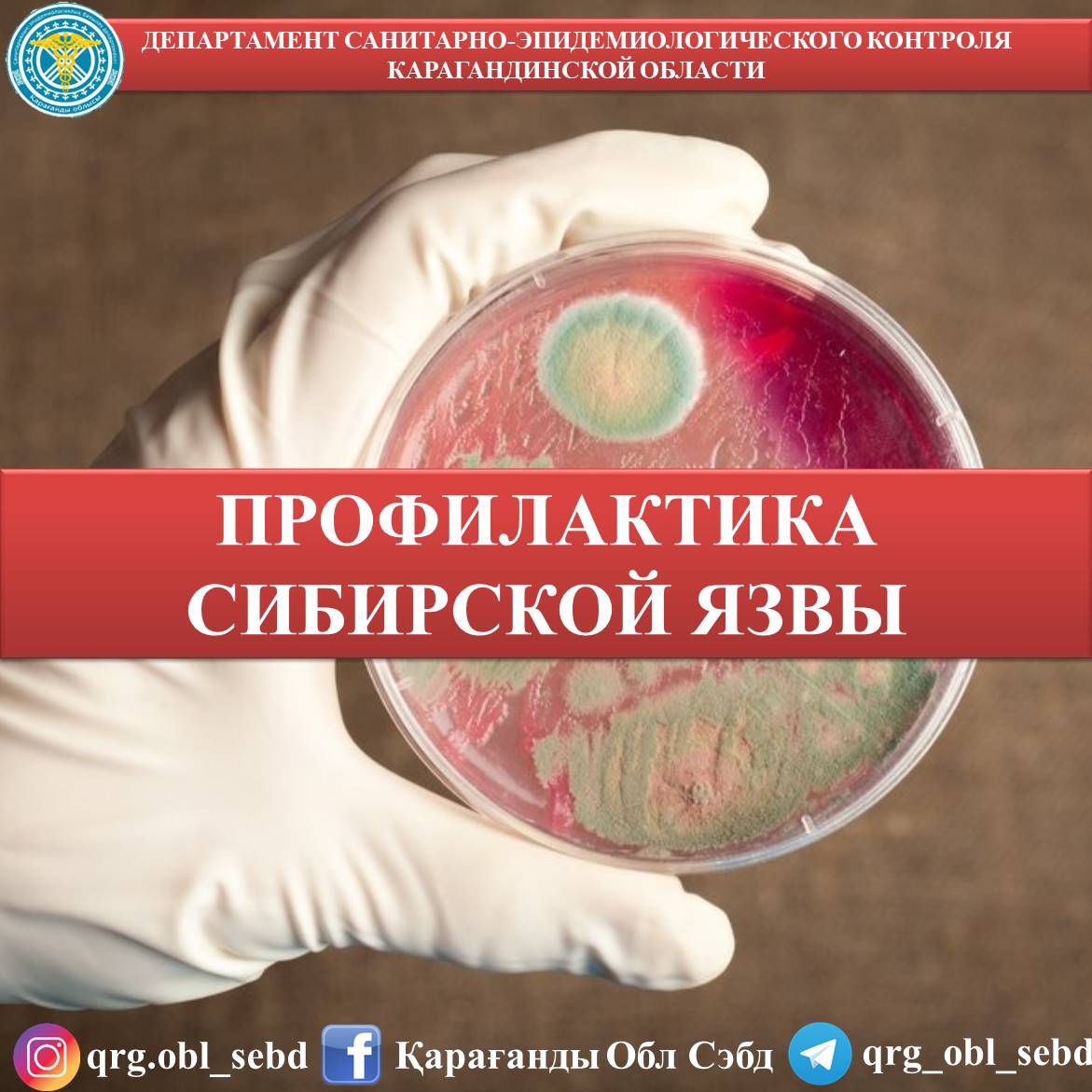 Қатты айқайлаған порно