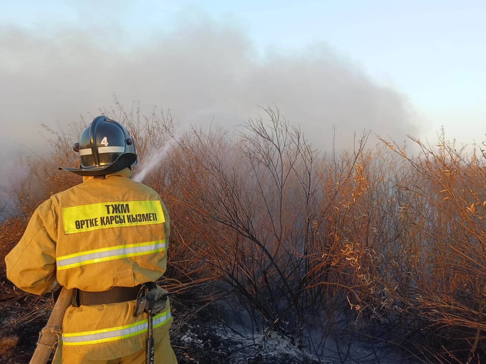 За один день в шести районах области возникли природные пожары