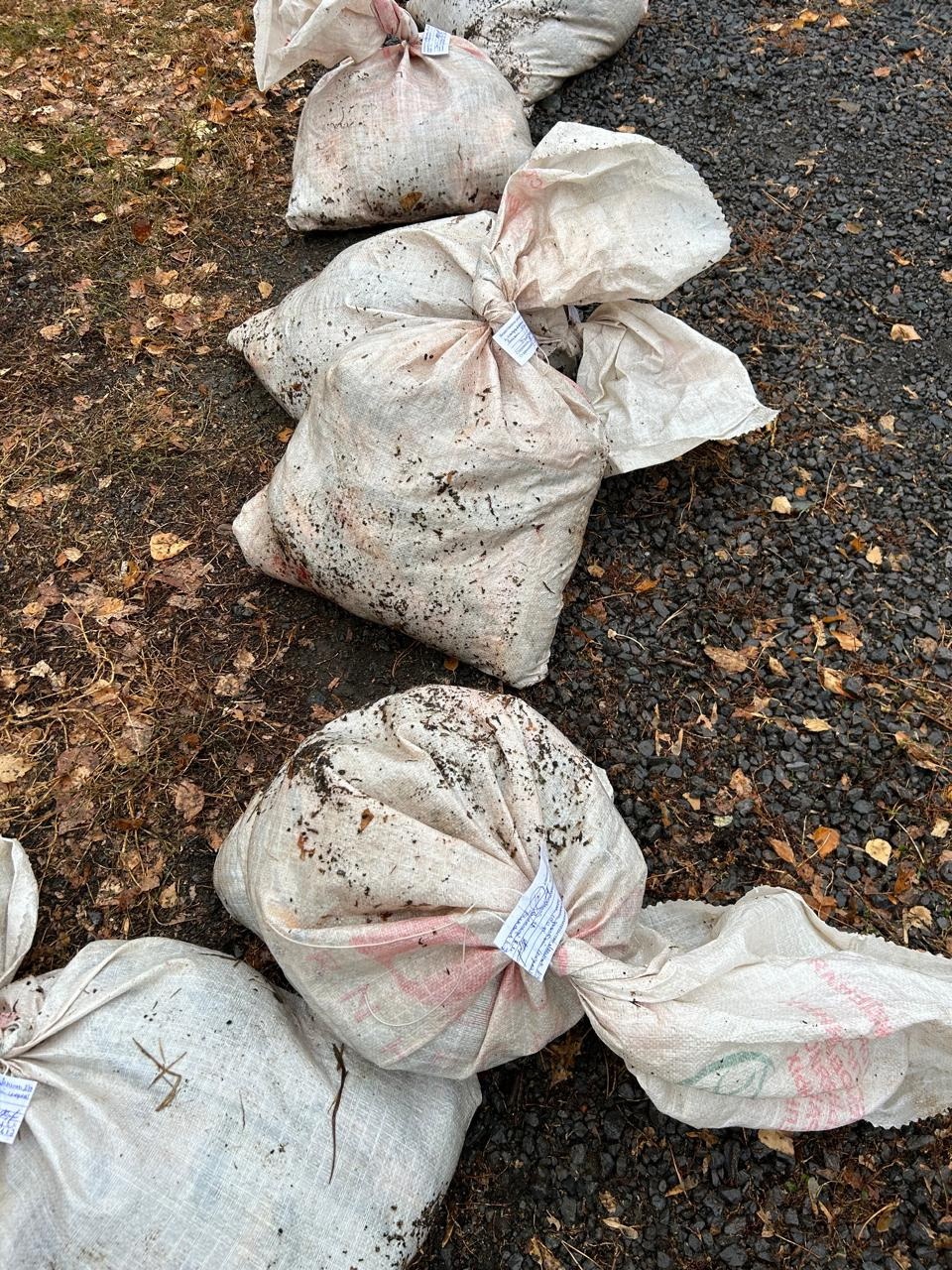 Порядка 70 нарушений природоохранного законодательства пресечено павлодарскими полицейскими