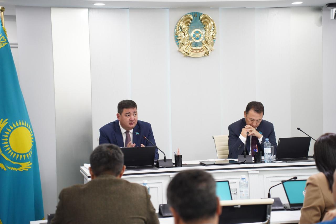 Заңдылық мәселелері жөніндегі тұрақты комиссияның отырысында 2025-2027 жылдарға арналған астана бюджетінің жобасын талқылау (12.11.2024)