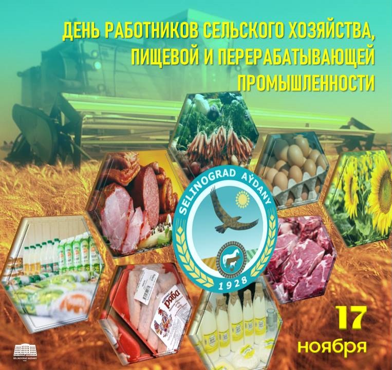 Үлкен сиськи бар HD порно Жетілген әйелдер ұйықтап жатқан порно