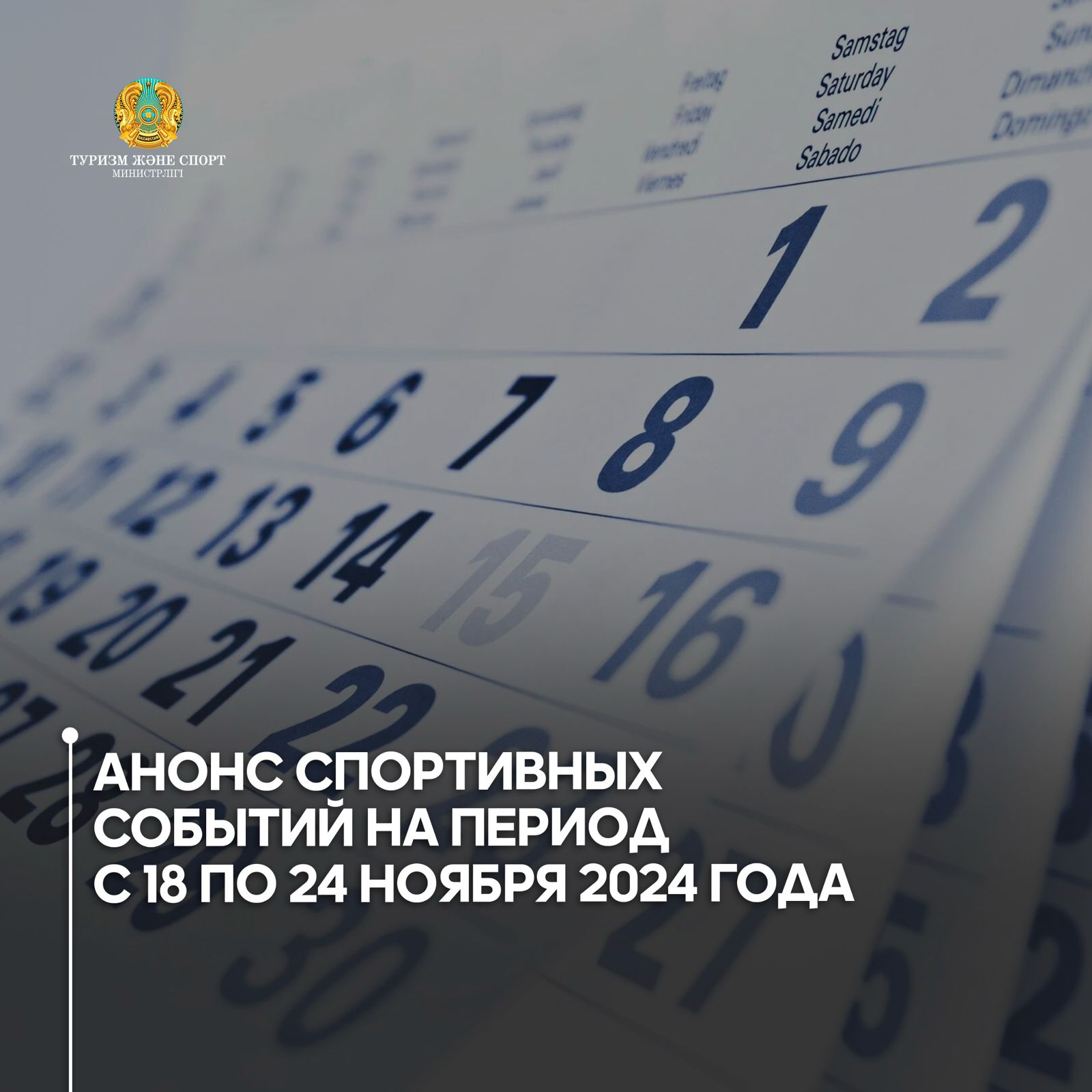 Анонс спортивных событий на период с 18 по 24 ноября 2024 года