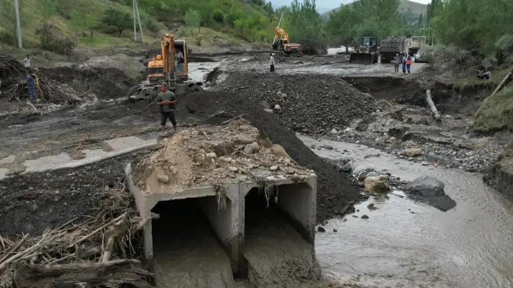Су тасқыны және сел - бұл табиғи апаттар, оның барысында адамдар, жануарлар өліп, ғимараттар мен тұрғын үйлер қиратылады