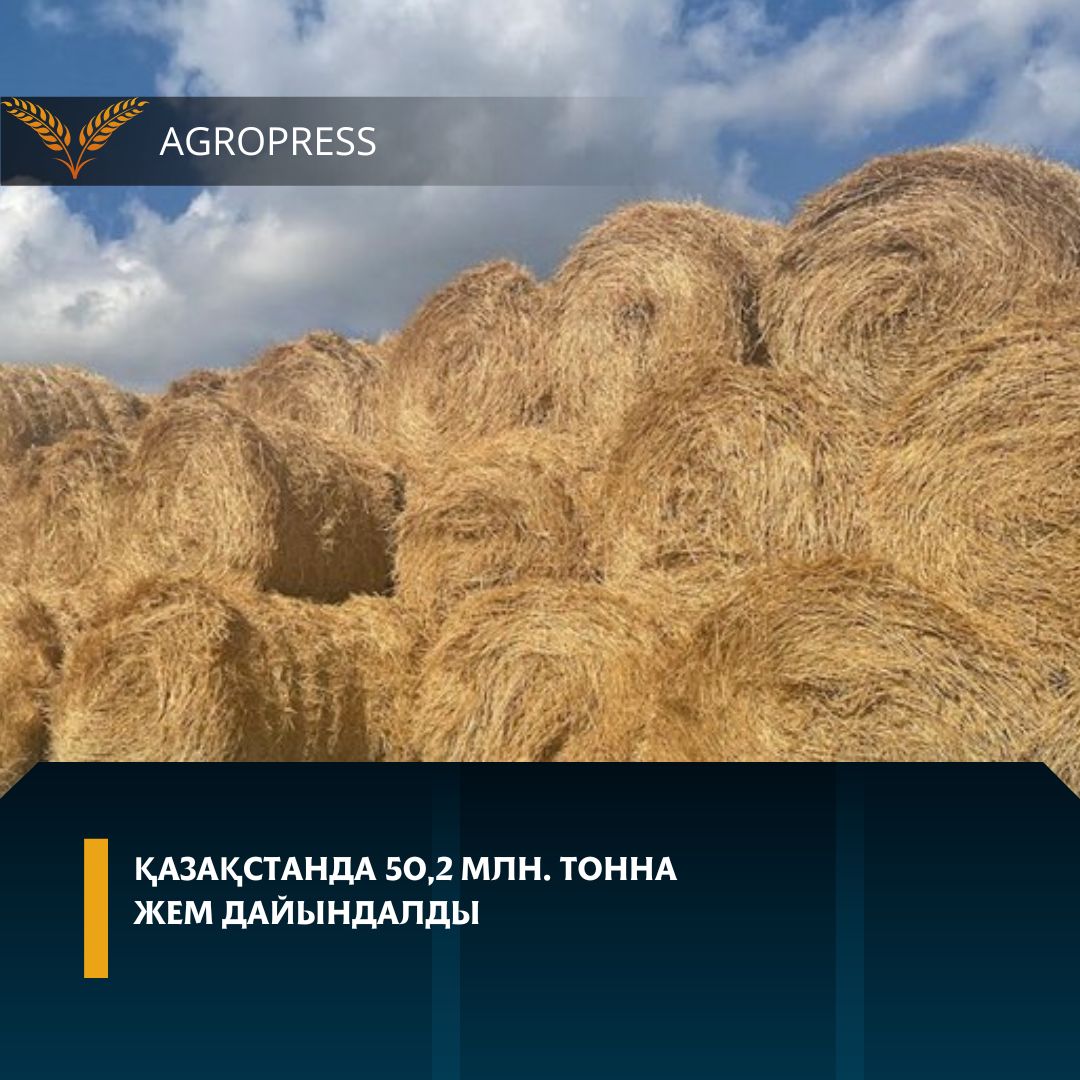 Қазақстанда 50,2 млн тонна жем дайындалды