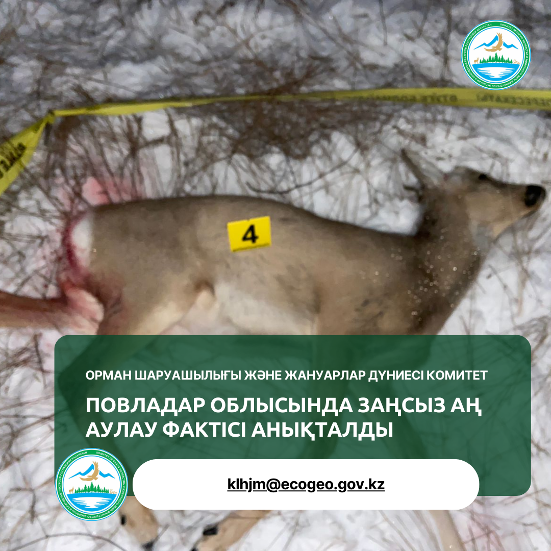 Факт незаконной охоты выявлен в Павлодарской области