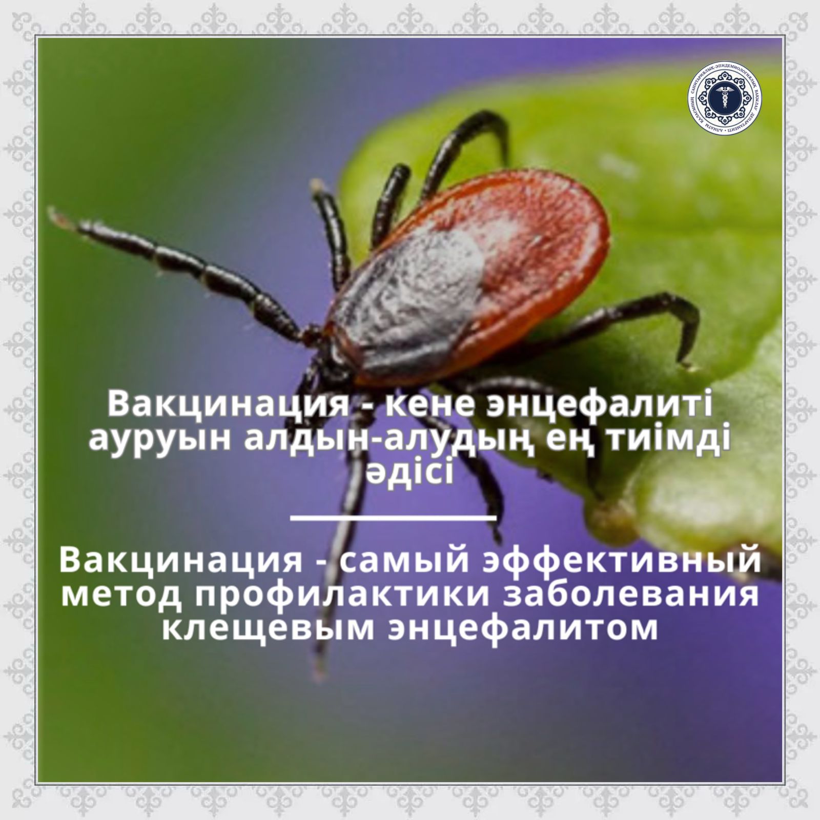 Үлкен сұлулармен порно