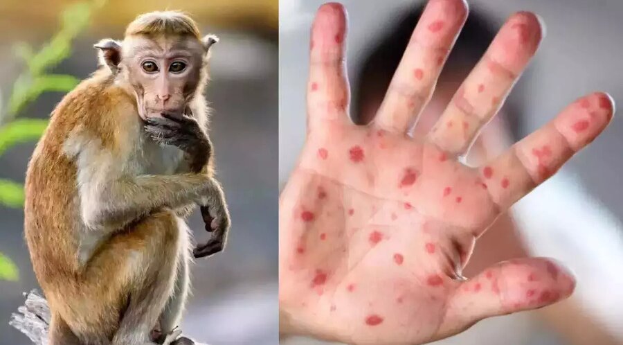 Ұзындығы 12 см болатын пенис әйелді қанағаттандырады