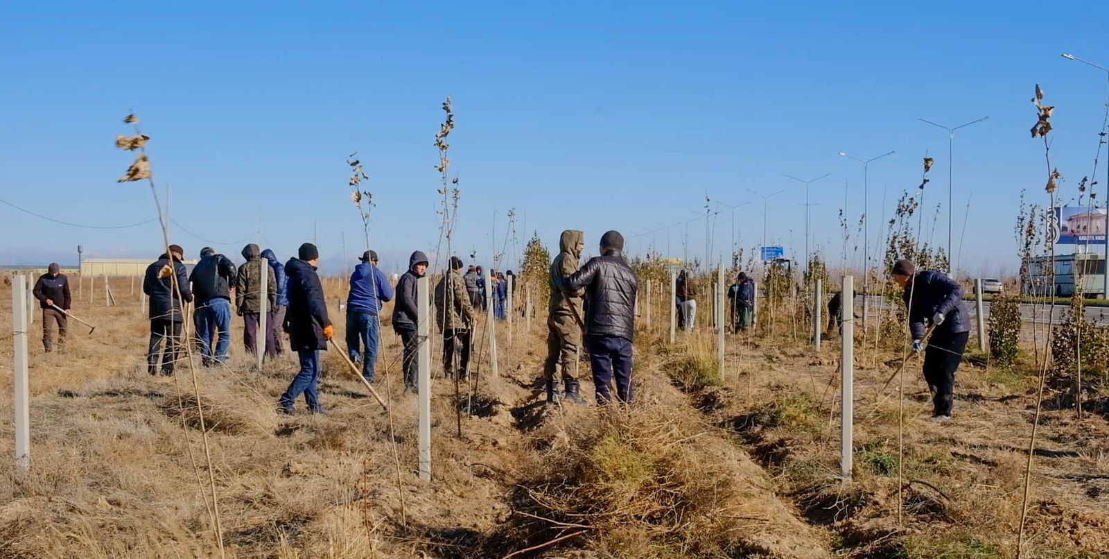 ТҮРКІСТАНДАҒЫ «ЖАСЫЛ БЕЛДЕУДЕ» АҒАШТЫ КҮТІП-БАПТАУ, ТОЛЫҚТЫРУ ЖҰМЫСТАРЫ ЖҮРГІЗІЛУДЕ