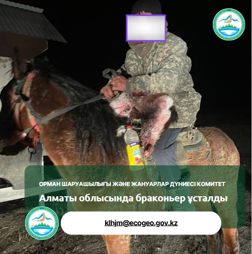 Браконьер задержан в Алматинской области