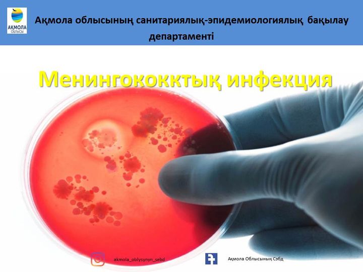 Вера Брежнева порнода жыныстық қатынасқа түседі.