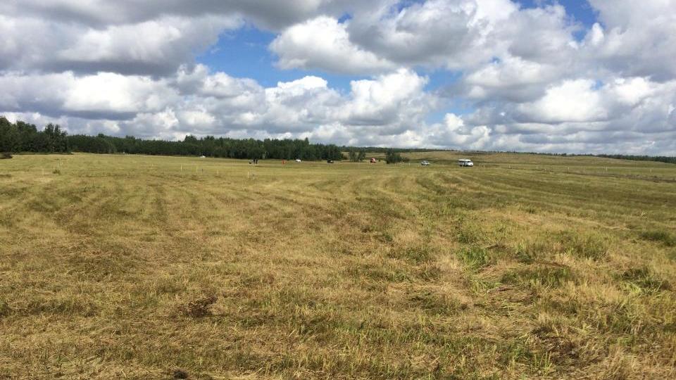 Қарағанды облысында 161 мың гектар жер мемлекет меншігіне қайтарылды