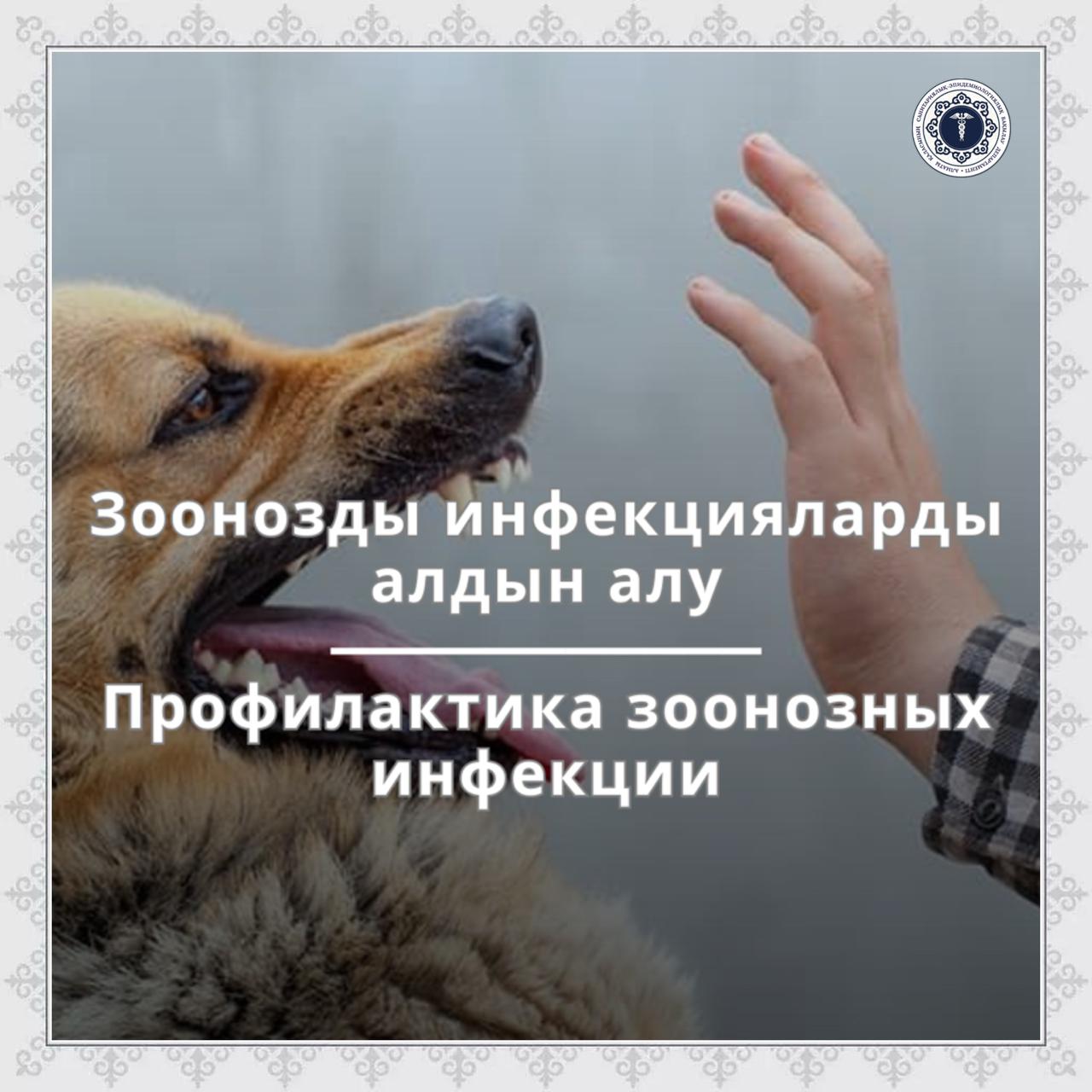 Зоонозды инфекцияларды алдын алу