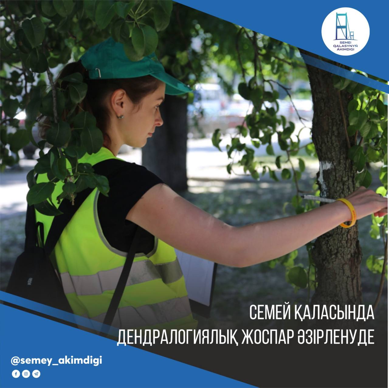 В Семее разработают дендроплан