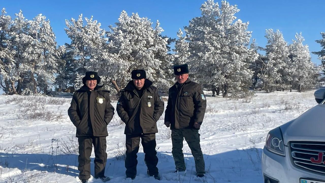 Перед Новым годом в Карагандинской области усилили охрану хвойных деревьев