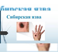 Аналардың порно еркелетулері