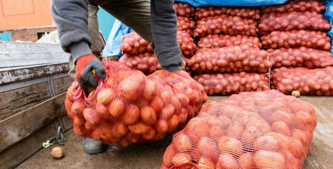 Ярмарки выходного дня: где и когда проходят?