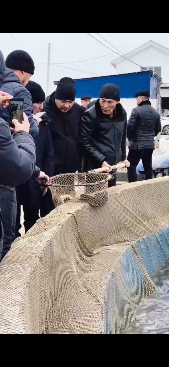 Рабочая поездка субъектов рыбного хозяйства в Туркестанскую область