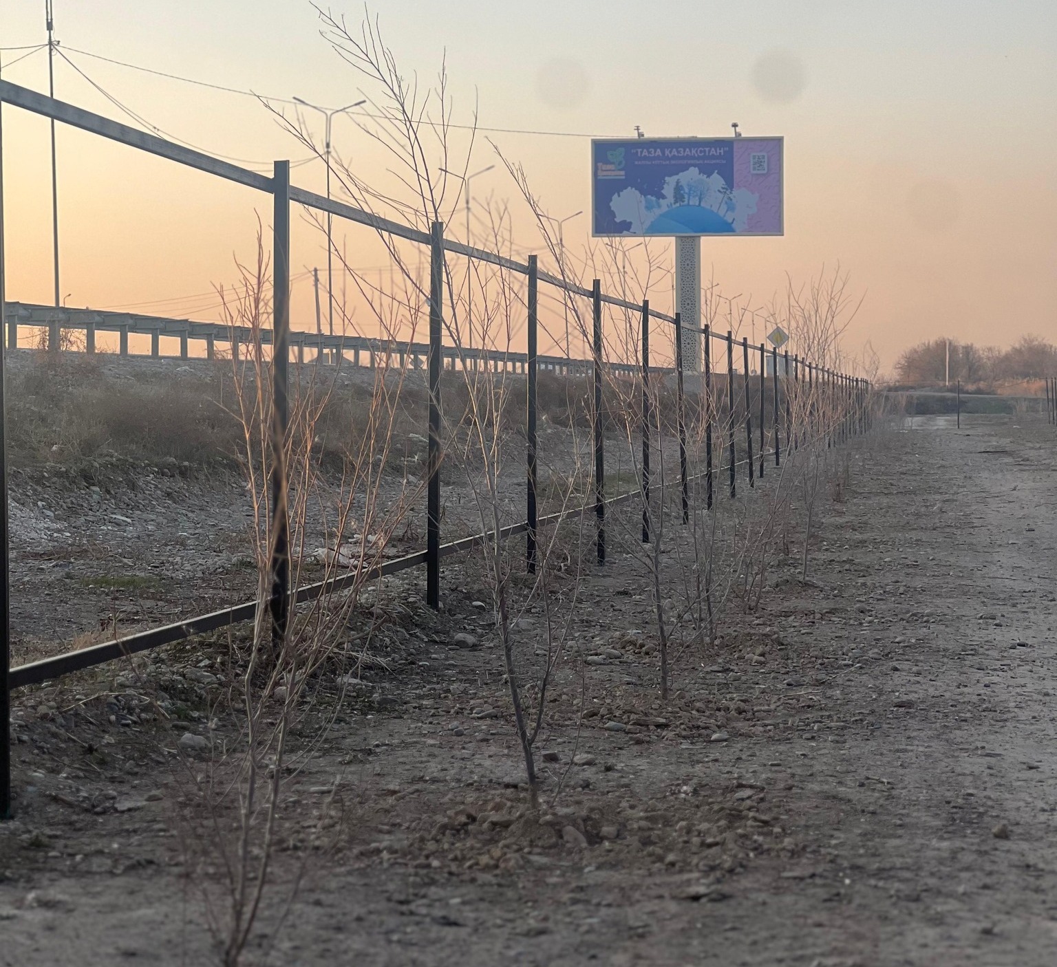 ТҮРКІСТАН: САУРАН АУДАНЫНДА КҮЗГІ КӨШЕТ ЕГУ ЖҰМЫСТАРЫ АЯҚТАЛДЫ