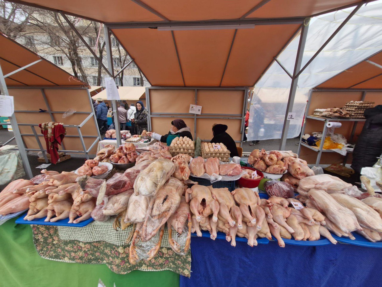 В Алматы на ярмарке реализовано более 2 000 тонн сельхозпродукции  прошла самая большая ярмарка в стране