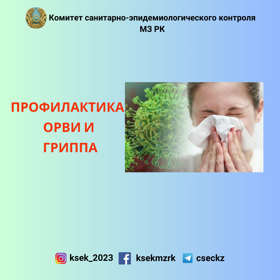 Профилактика ОРВИ и гриппа