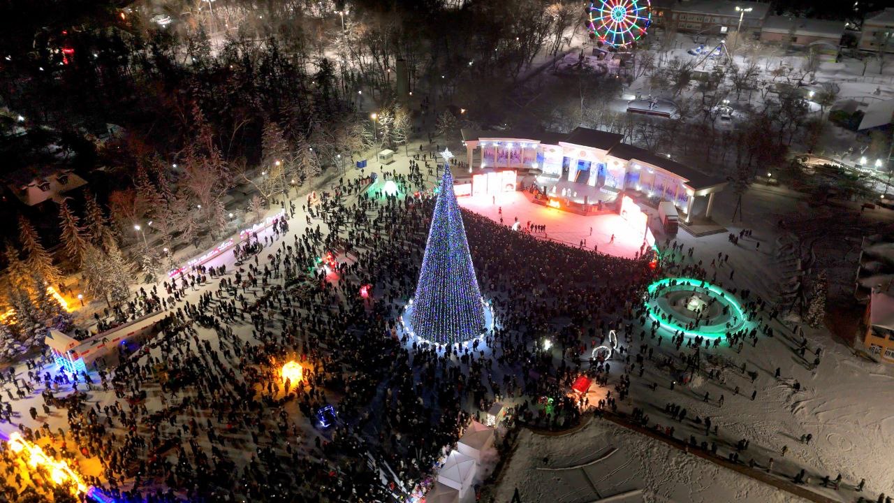 СҚО-да бас шырша жағылды