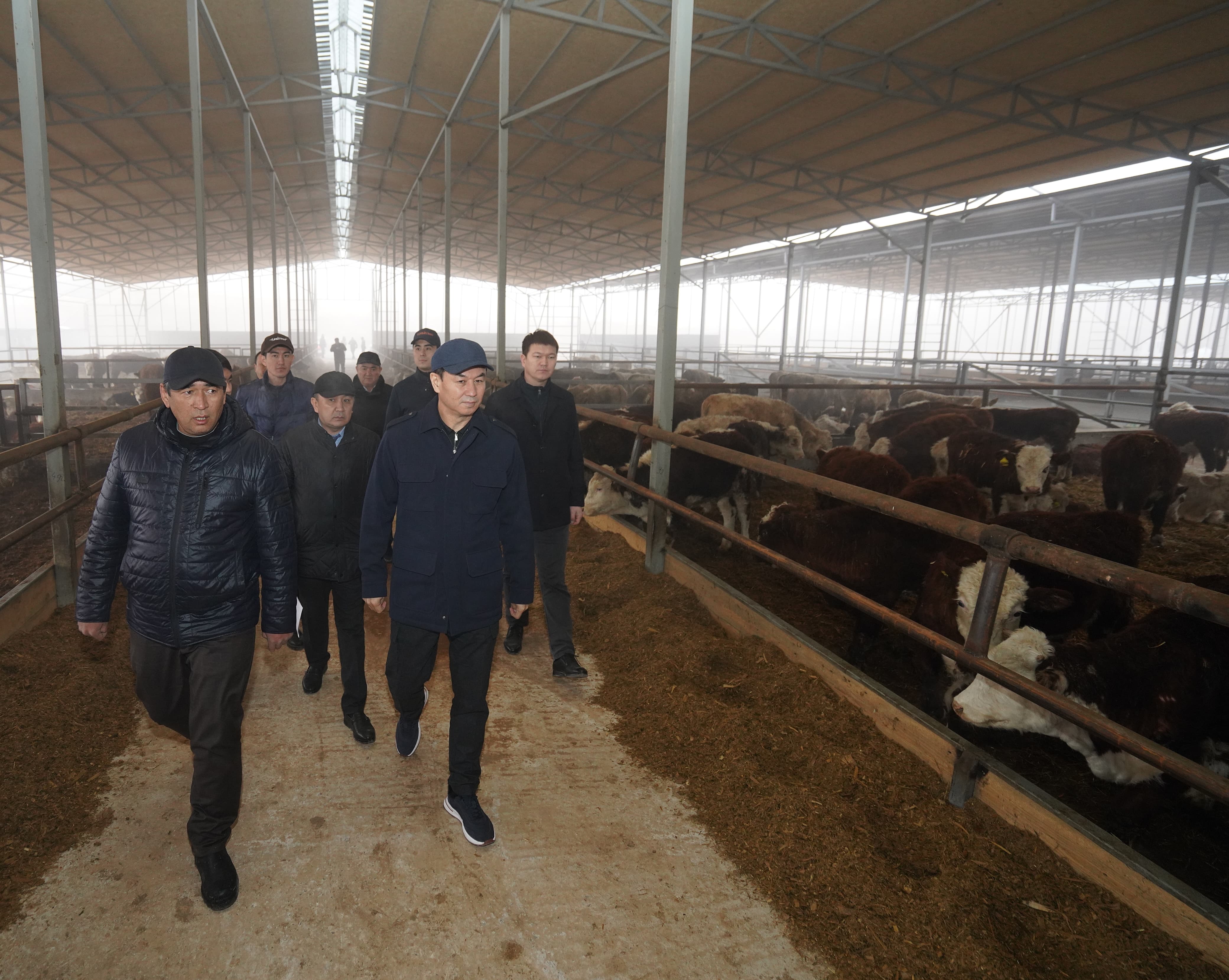 ТҮРКІСТАН: САРЫАҒАШТА МАЛ БОРДАҚЫЛАУ АЛАҢЫ КӨБЕЙІП КЕЛЕДІ