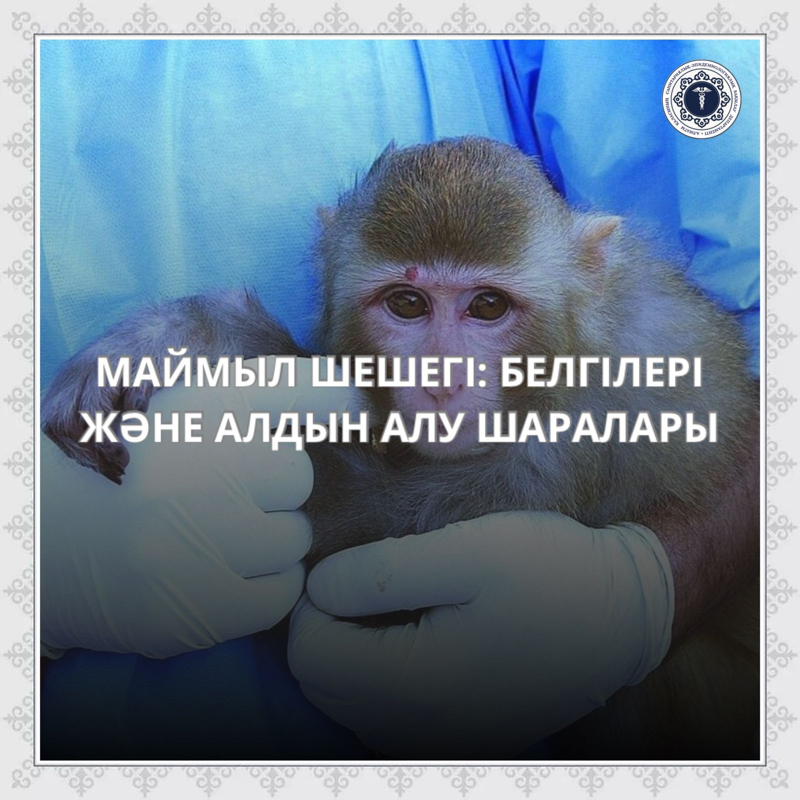 Жыныстық қатынастағы маймыл