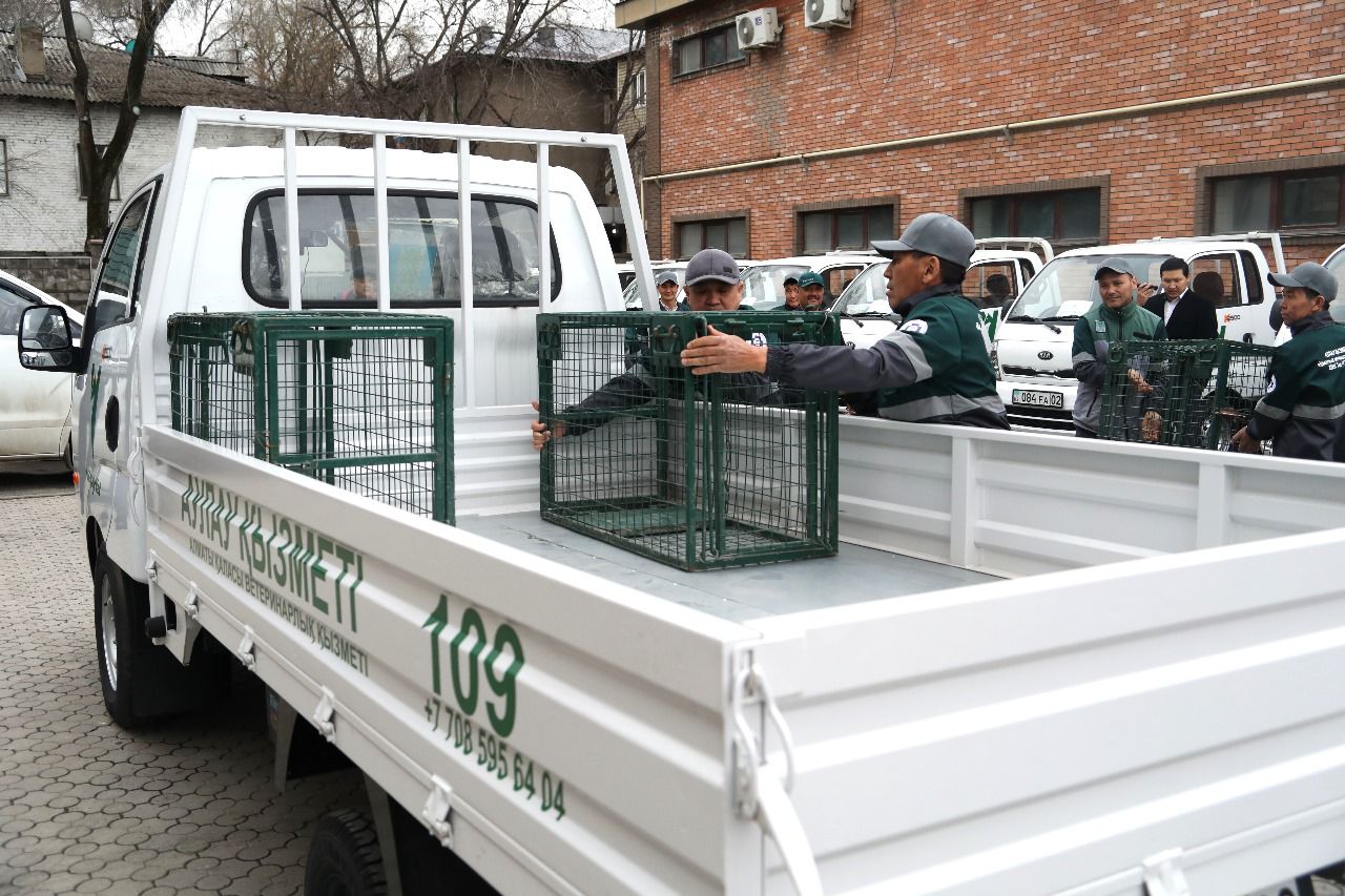 Алматыда 2025 жылы ветеринарлық қызметтің арнайы техника паркін жаңарту жоспарланып отыр