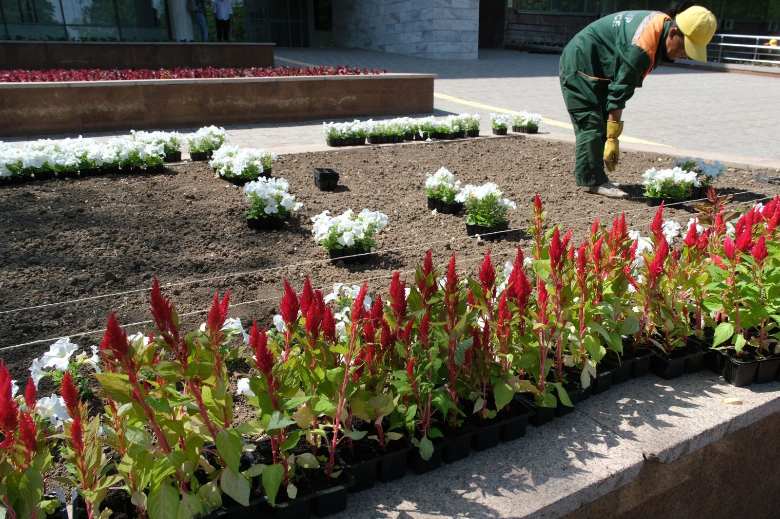 Әрқайсысында жауапкершілік: Алматыда объектілерді паспорттау жалғасуда