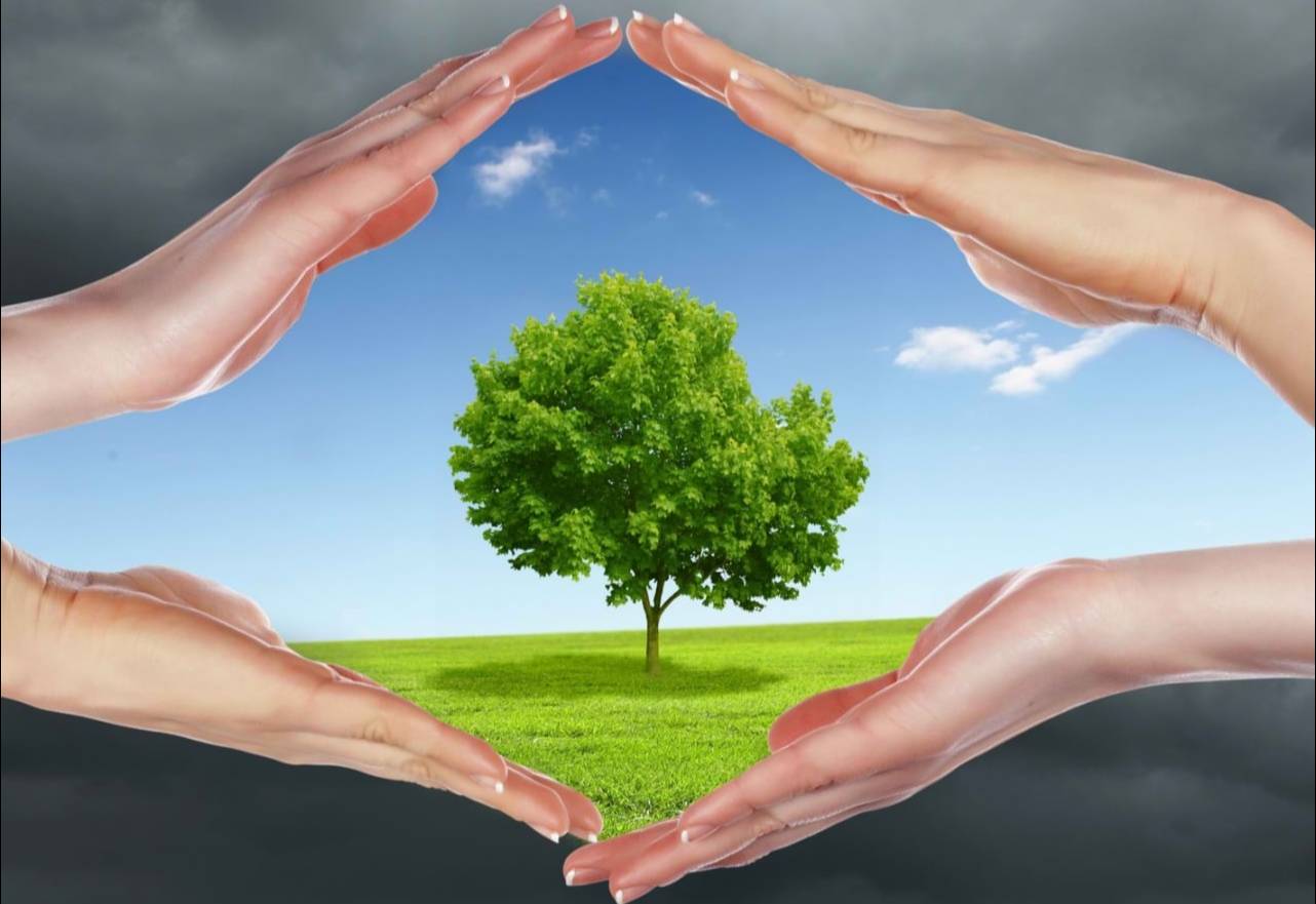 Түркістан облысының атмосфералық ауа сапасына санитариялық-эпидемиологиялық мониторинг