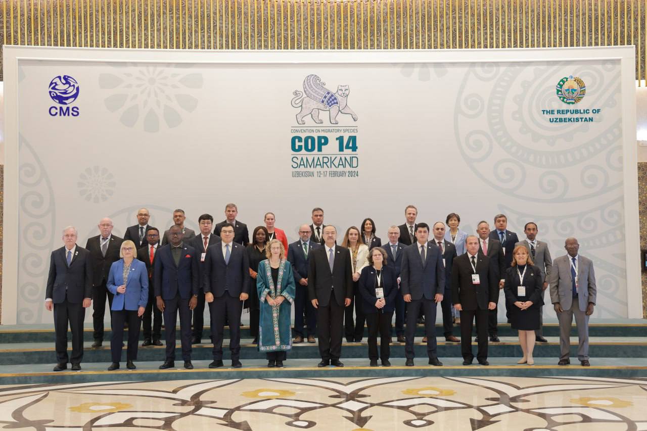 The 14th meeting of the parties (COP 14) of the Convention on the Conservation of Migratory Species of Wild Animals is taking place in Samarkand