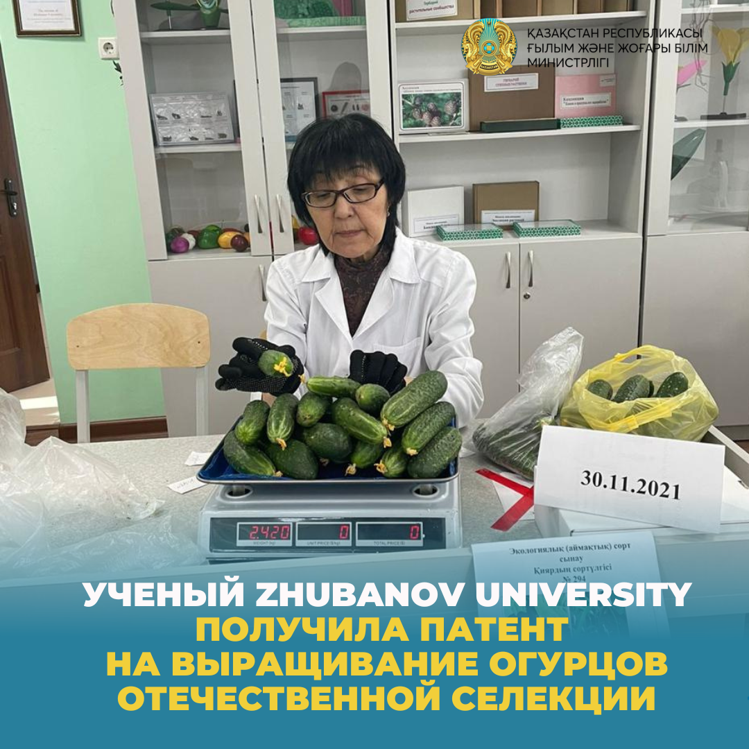 Ученый Zhubanov University получила патент на выращивание огурцов отечественной селекции