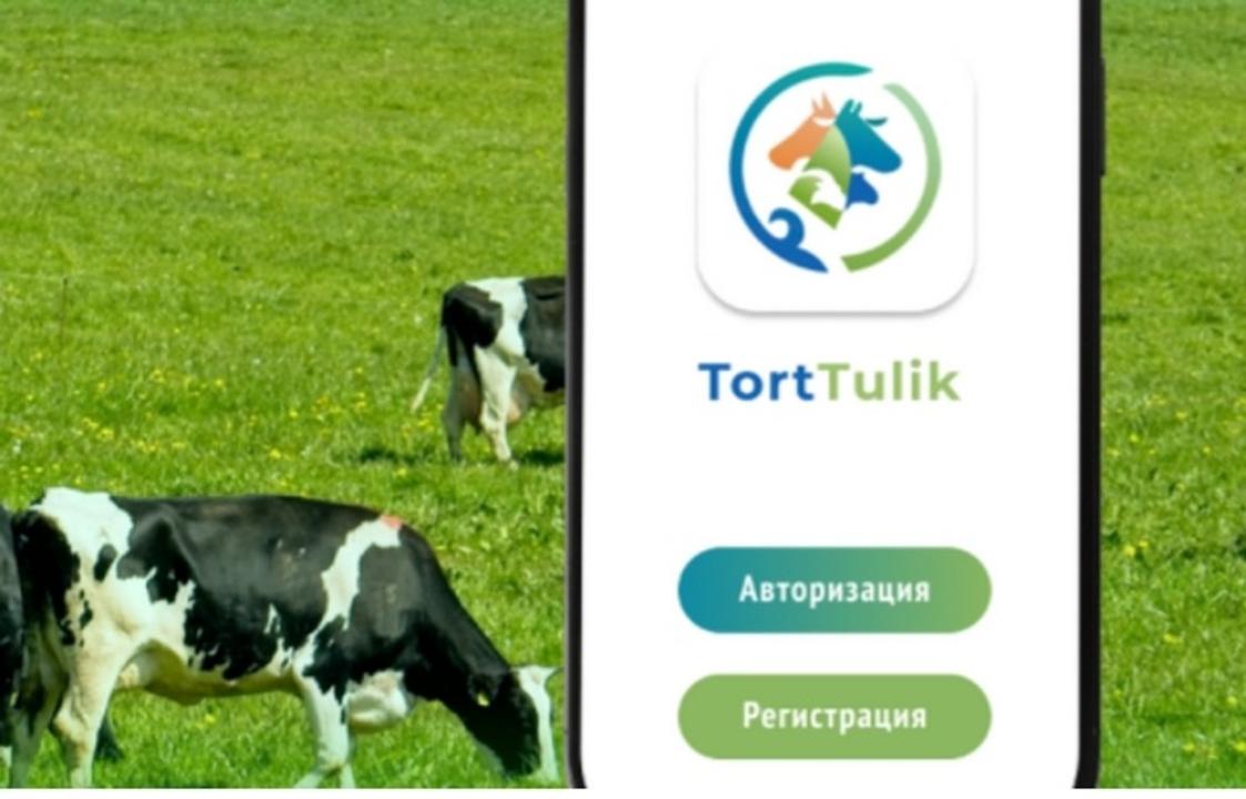 Мобильді қосымша-TortTulik