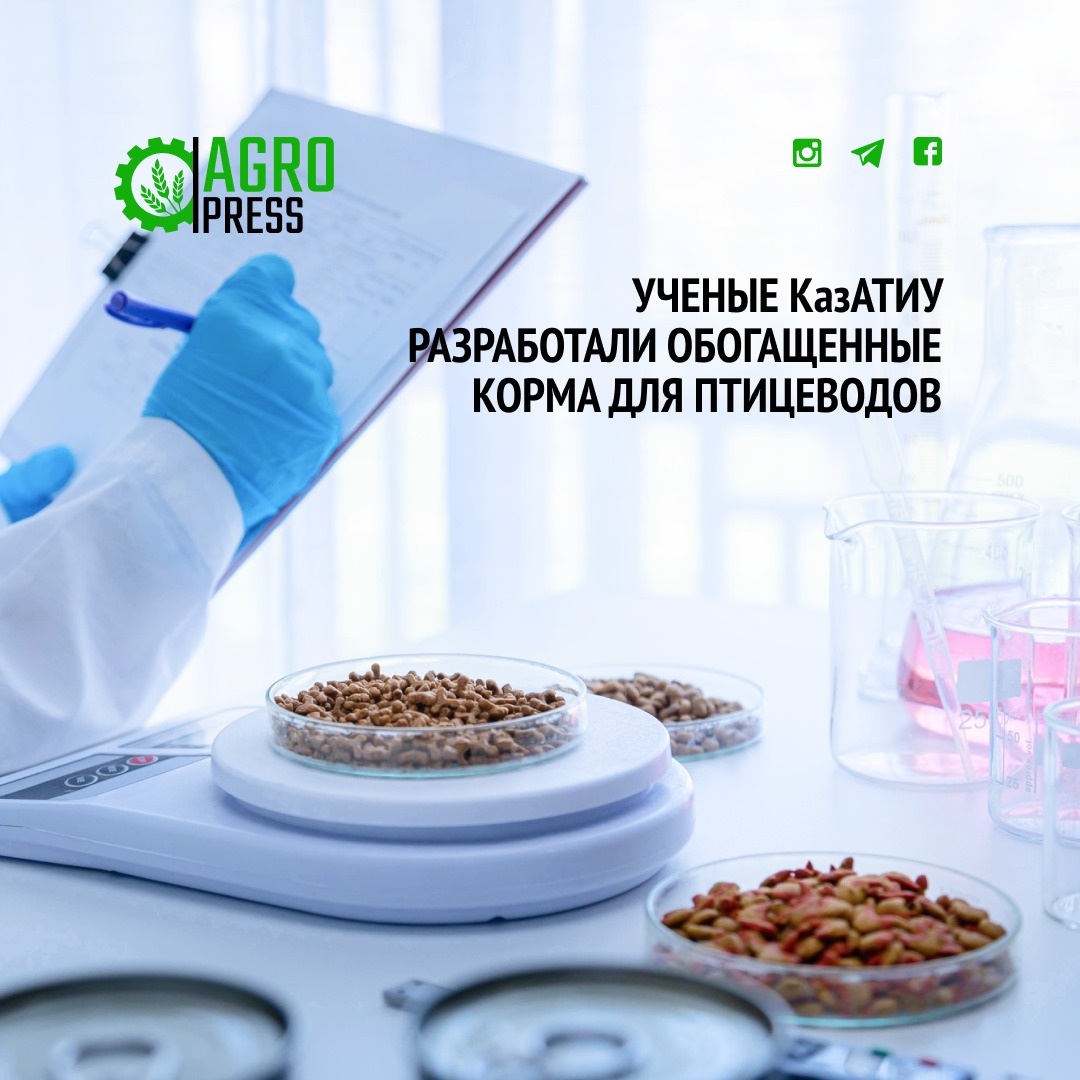 Ученые КазАТИУ разработали обогащенные корма для перепелок
