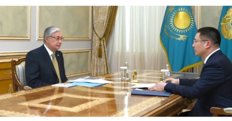 Глава государства принял акима Павлодарской области