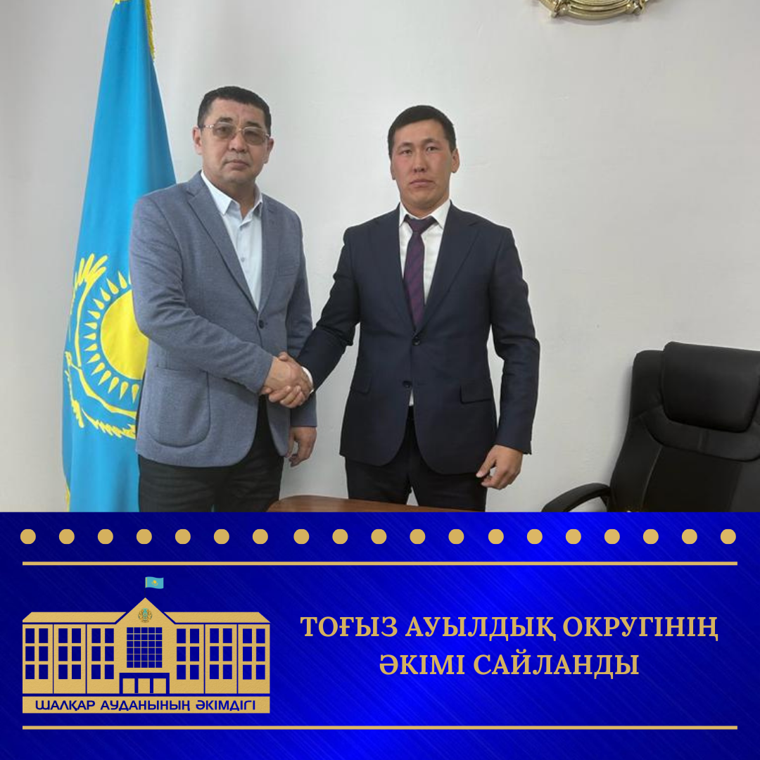 Порно мультфильмдерді онлайн көру