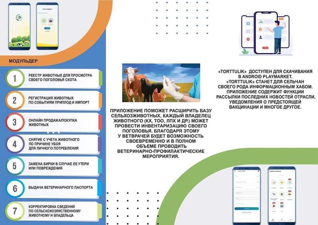Мал иелеріне арналған мобильді қосымша