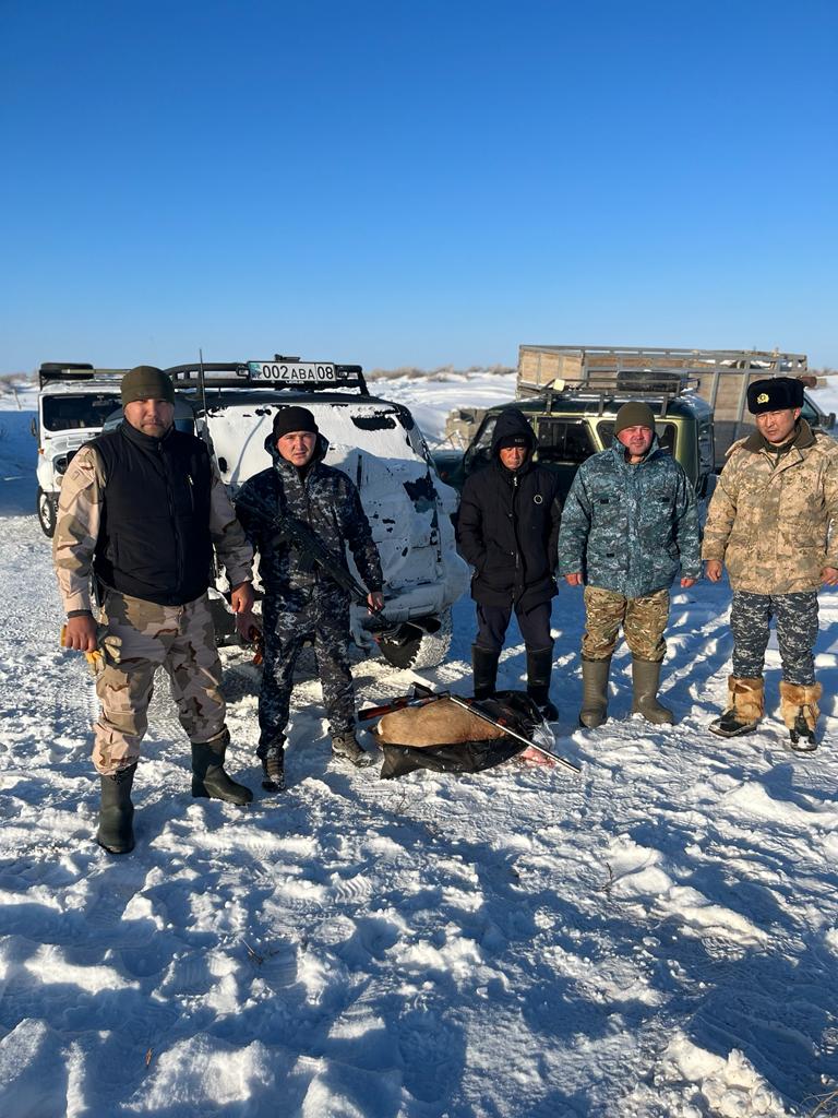 Браконьеров, застреливших краснокнижных джейранов, задержали в Жамбылской области