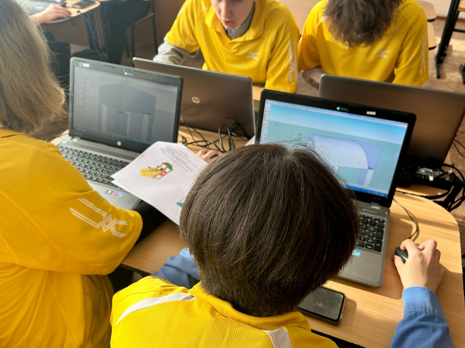 Итоги проведения районного этапа областного чемпионата «Skills for geeks», район Алтай