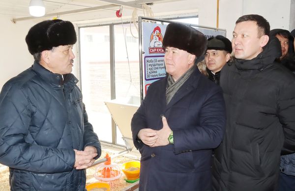 Ознакомился с работой производственного кооператива "Сыр құсы"