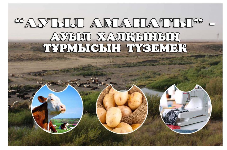 Проект "Ауыл аманаты"