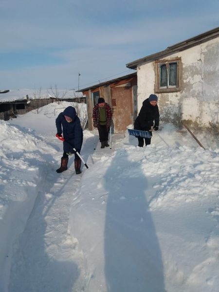 Акция BIRGEMIZ