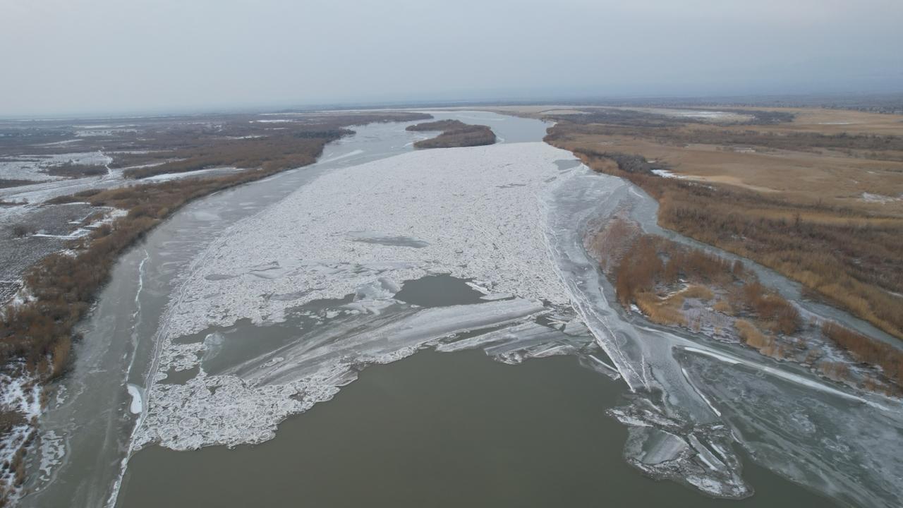 Мұғалімнің студенттермен бірге түсірген порносы