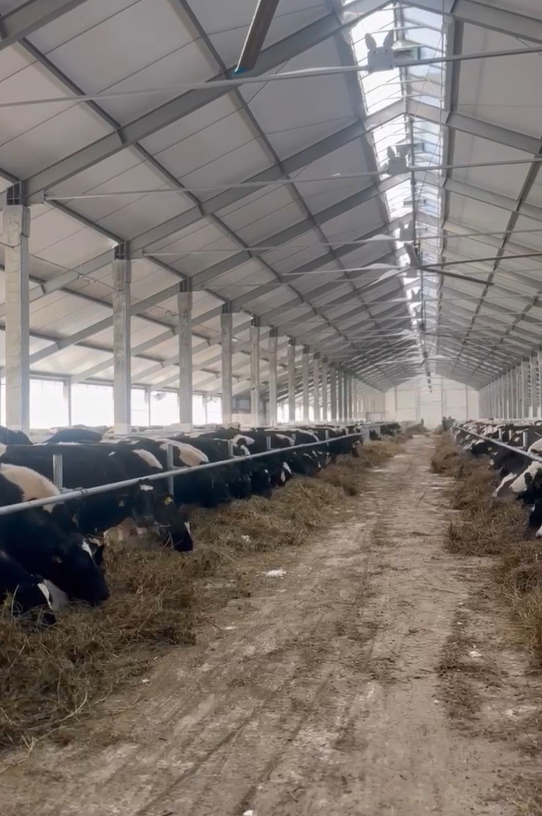 Аким города посетил село Ребровка, где ведётся строительство молочно-товарной фермы ТОО «Кронос-Павлодар».
