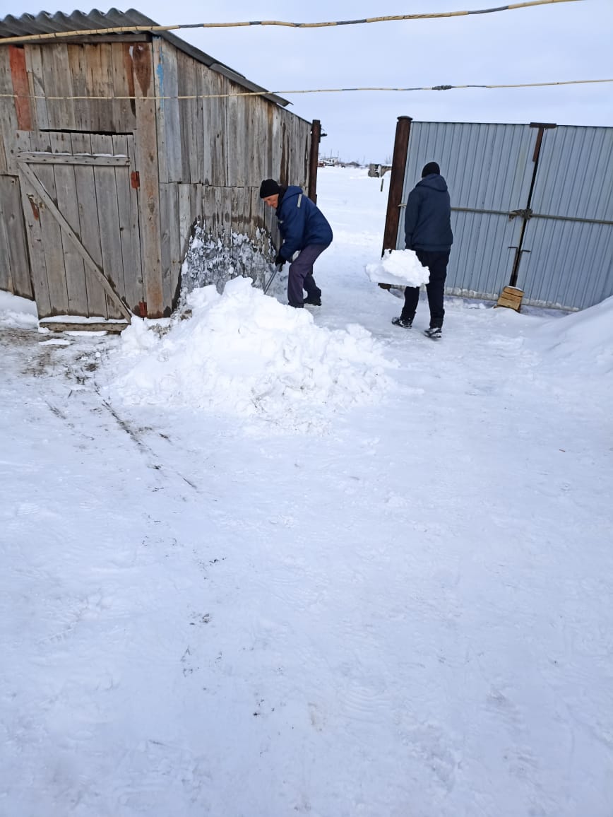 Акция BIRGEMIZ