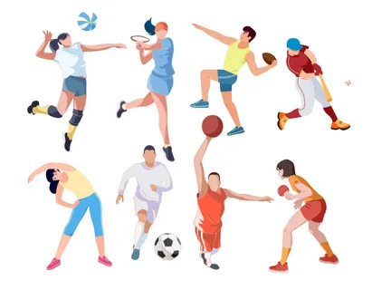 Физическая культура и спорт