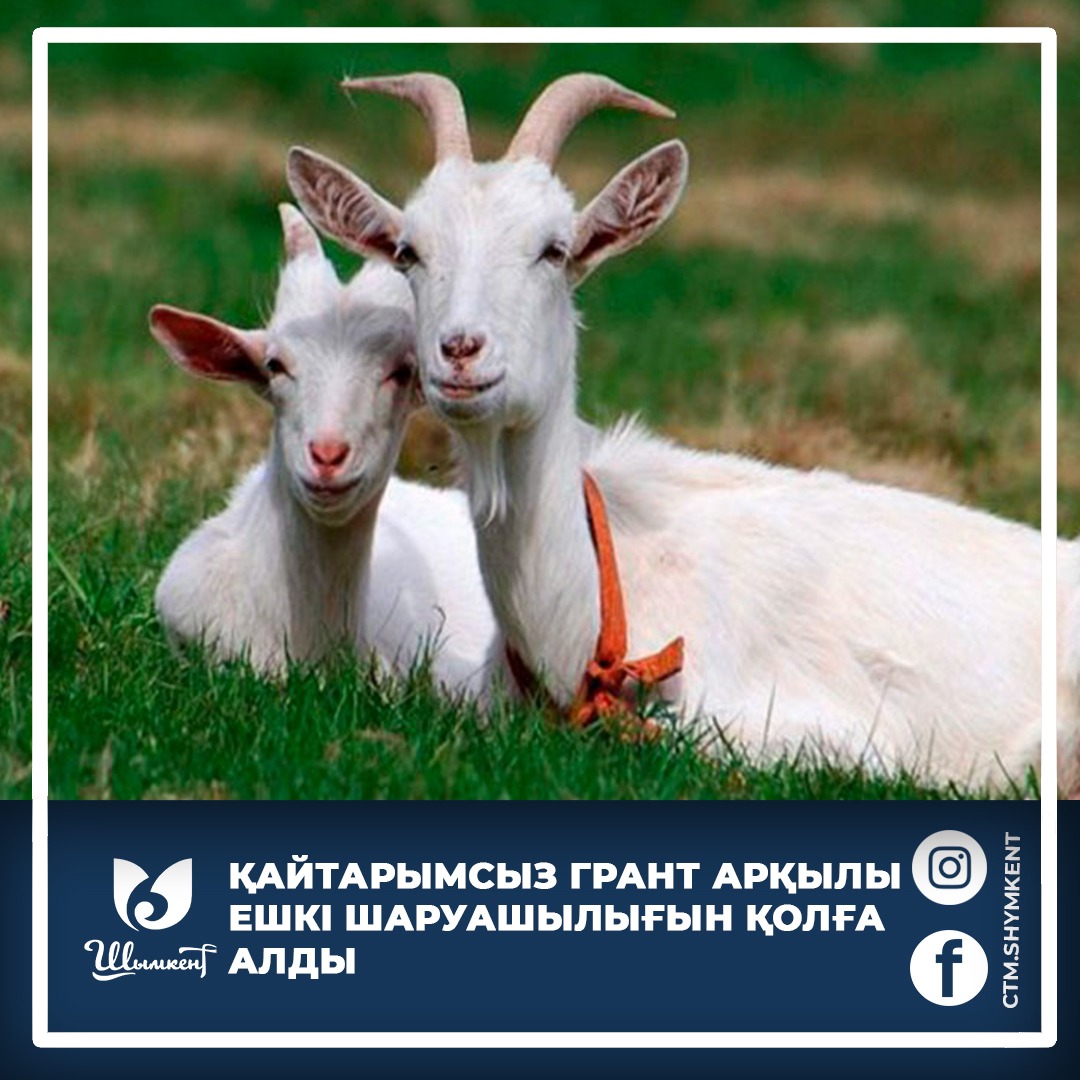 Нюша мүлдем жалаңаш